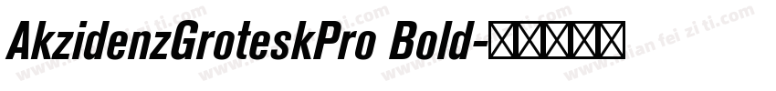 AkzidenzGroteskPro Bold字体转换